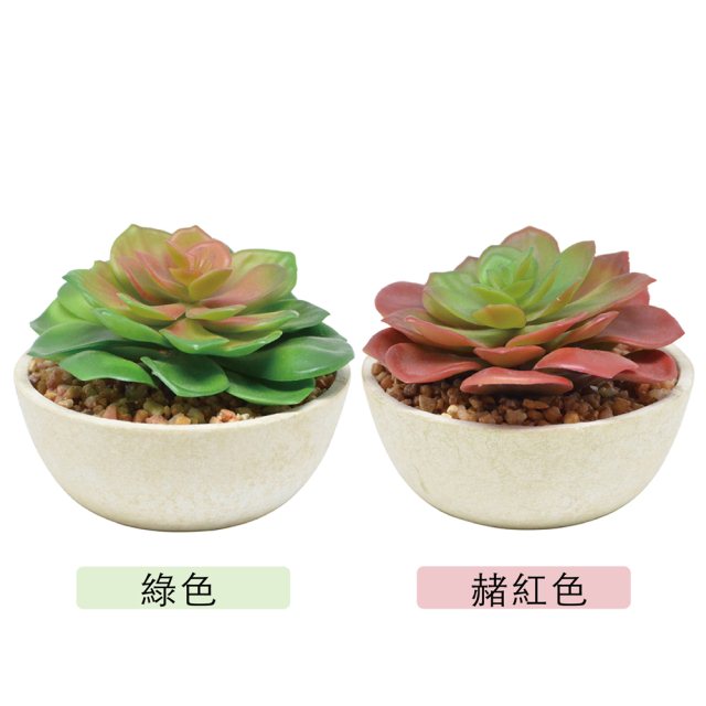 91+ 图片 多肉 植物 新的 35 多肉植物盆栽(紅)_人造花/仿真植物_家飾/ 佈置_商品分類| YU Living信歐傢居