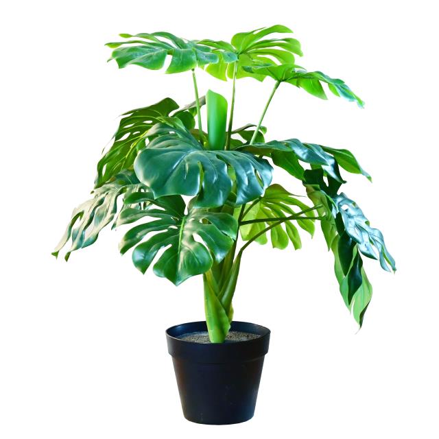仿真龜背芋盆栽 75CM(圖)